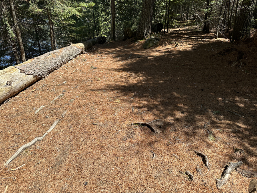 Duncan Lake Campsite 10