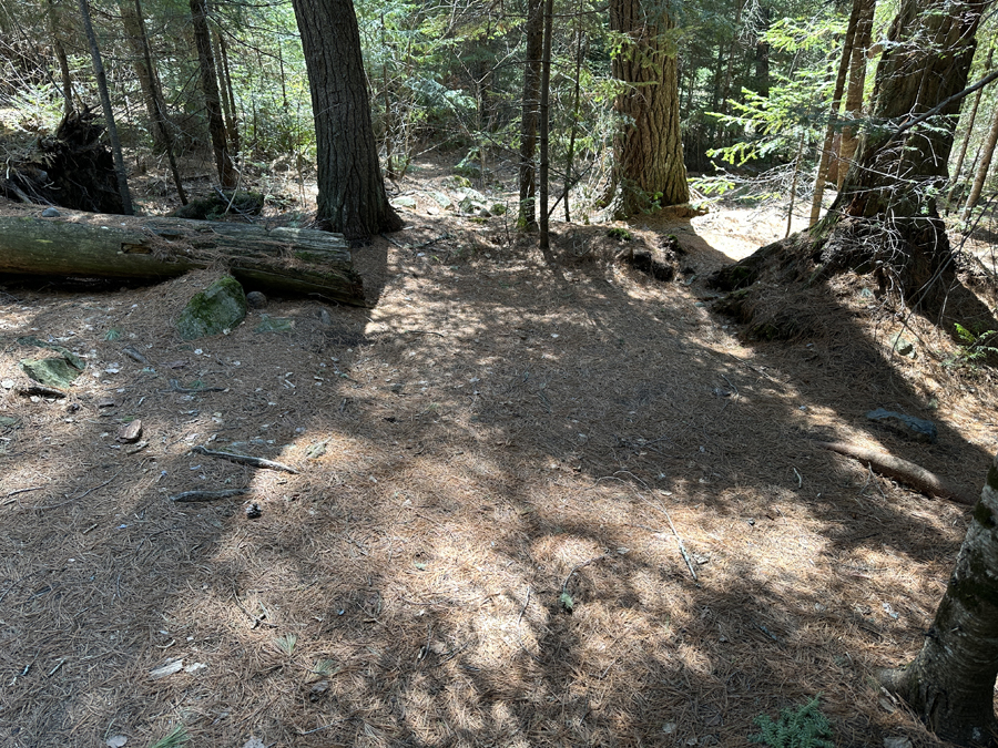 Duncan Lake Campsite 11