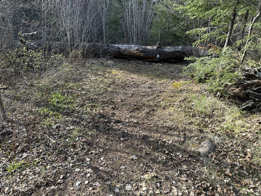 Duncan Lake Campsite 8