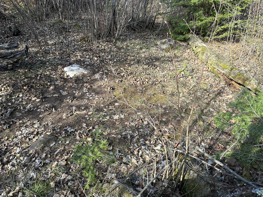 Duncan Lake Campsite 9