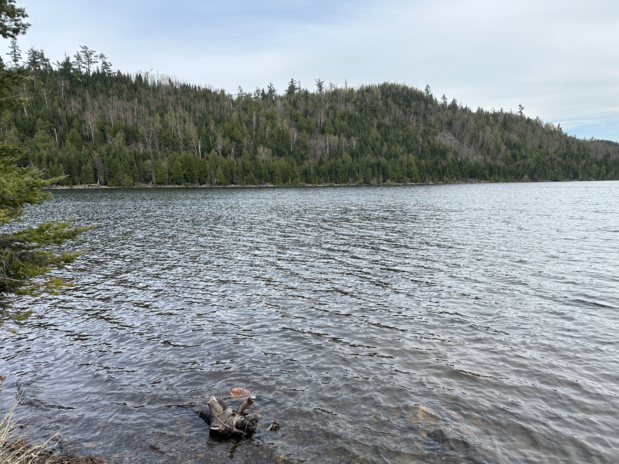 Duncan Lake Campsite 9