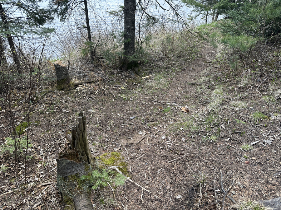 Duncan Lake Campsite 4