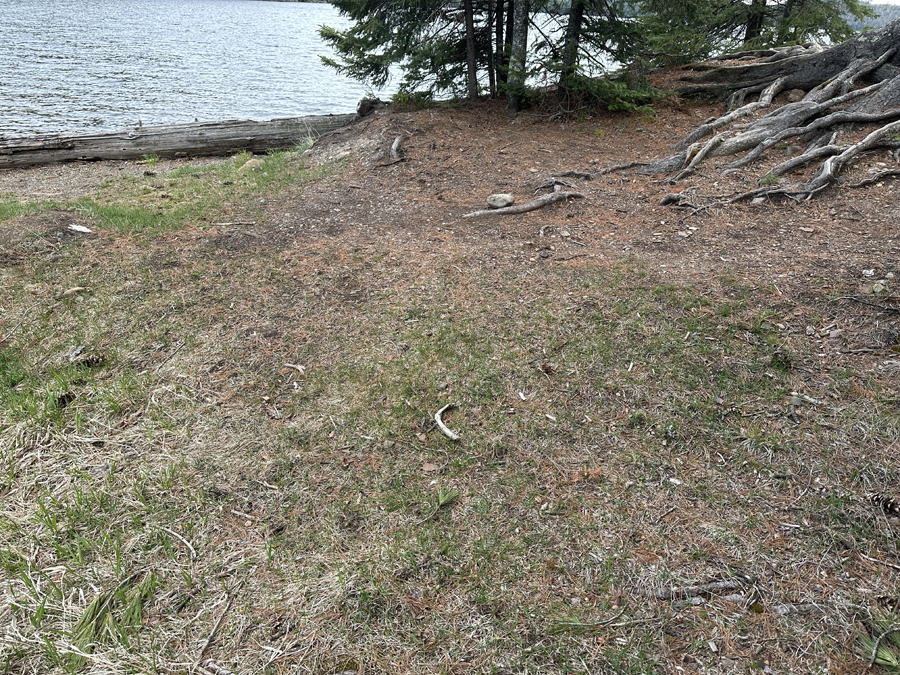 Duncan Lake Campsite 6