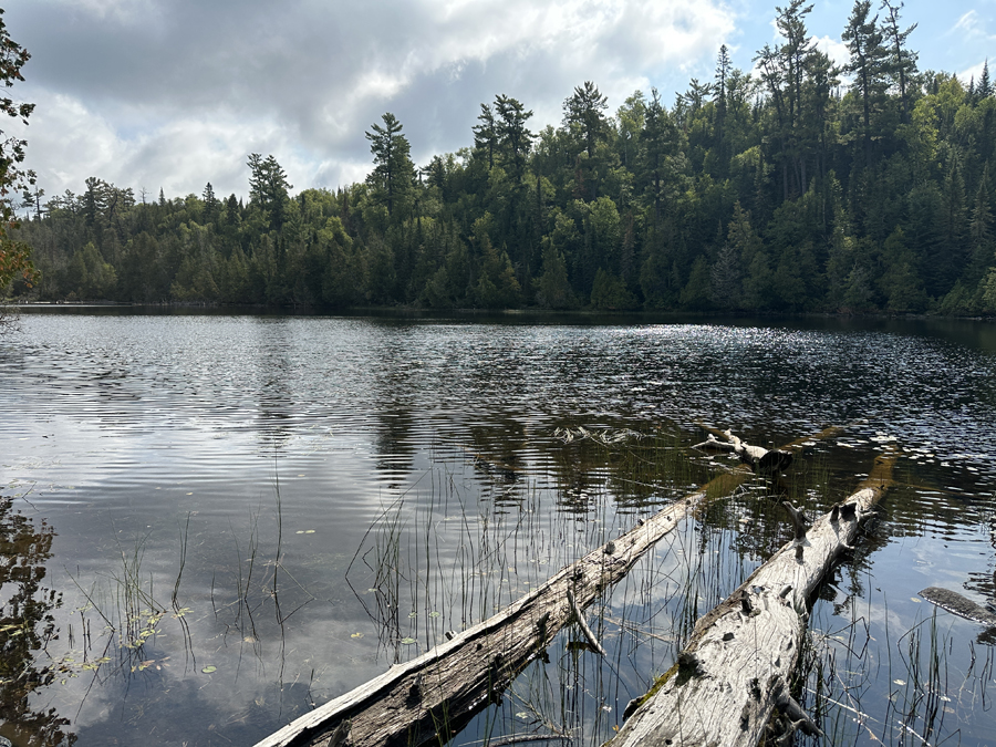 East Bearskin Lake Campsite 8