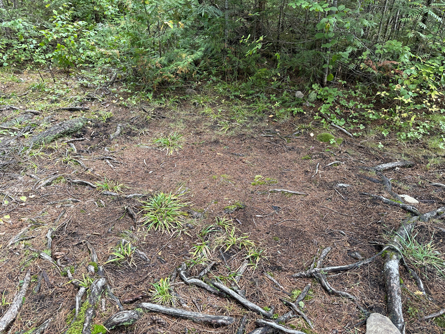 East Bearskin Lake Campsite 5