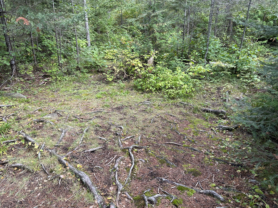 East Bearskin Lake Campsite 4