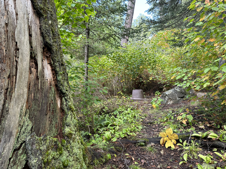 East Bearskin Lake Campsite 6