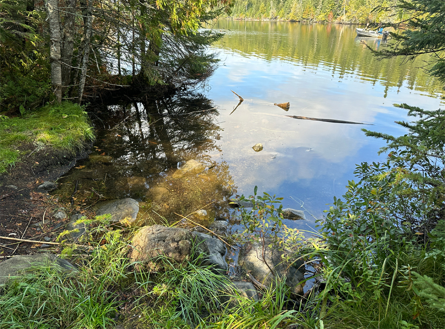 Flour Lake to East Bearskin Lake Portage 4