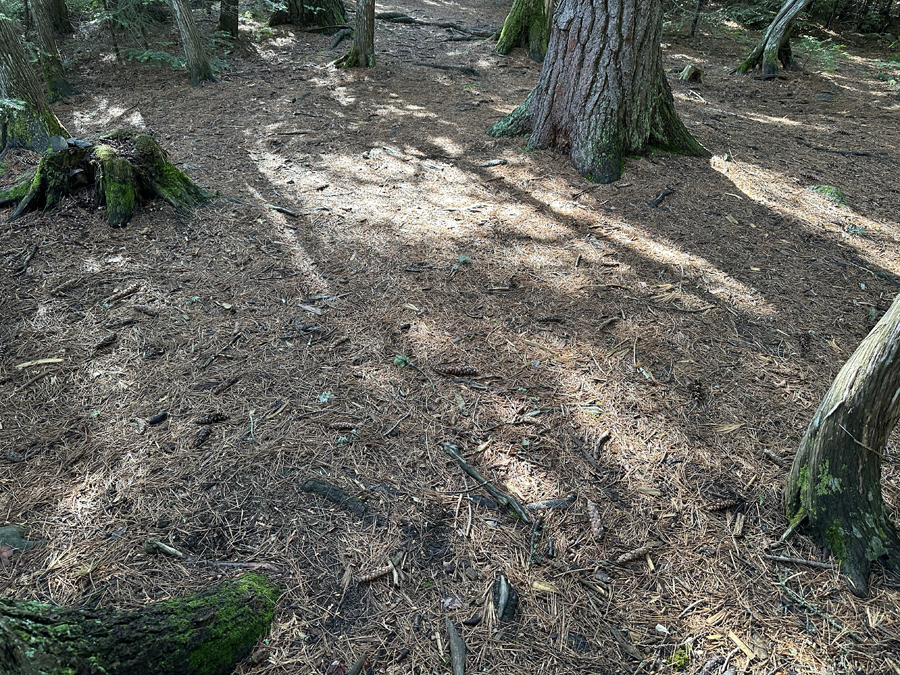 Horseshoe Lake Campsite 5