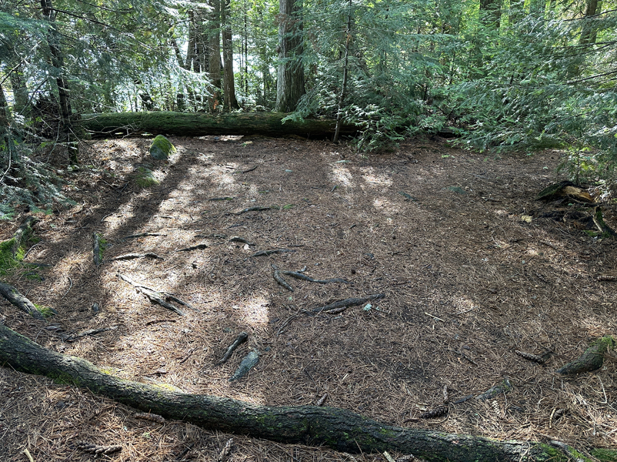 Horseshoe Lake Campsite 6