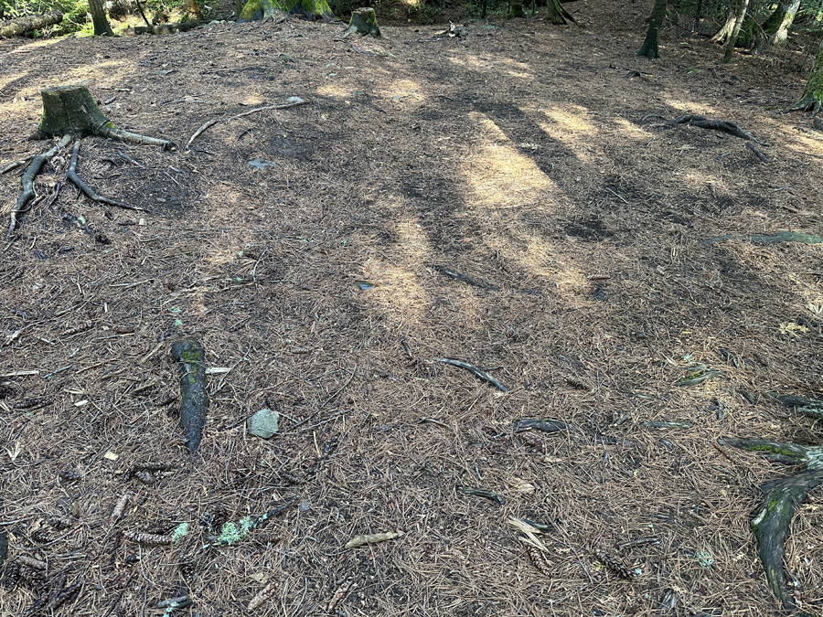 Horseshoe Lake Campsite 7