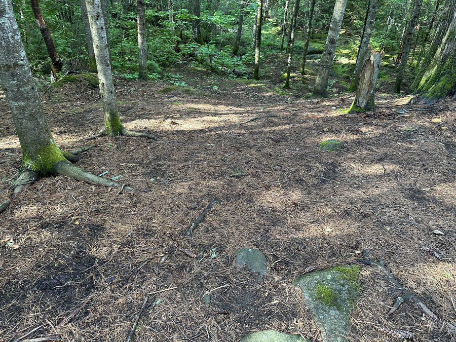 Horseshoe Lake Campsite 8