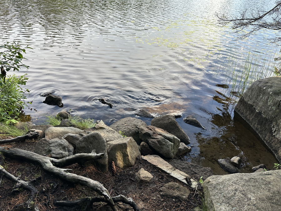 Horseshoe Lake Campsite 2