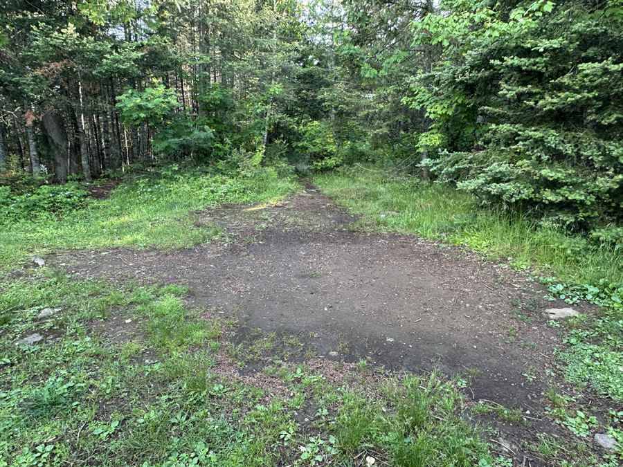 Horseshoe Lake Campsite 4