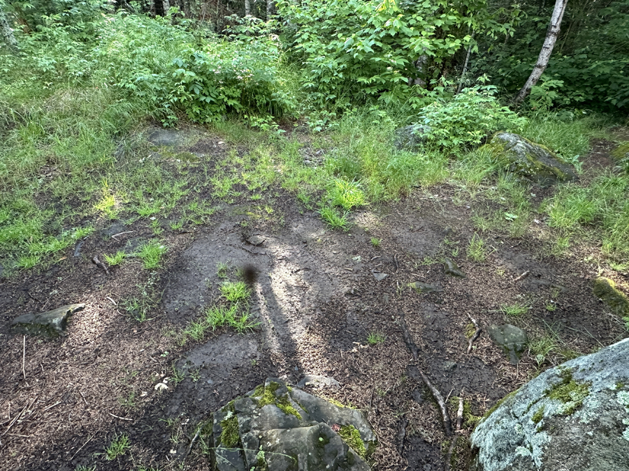 Horseshoe Lake Campsite 5