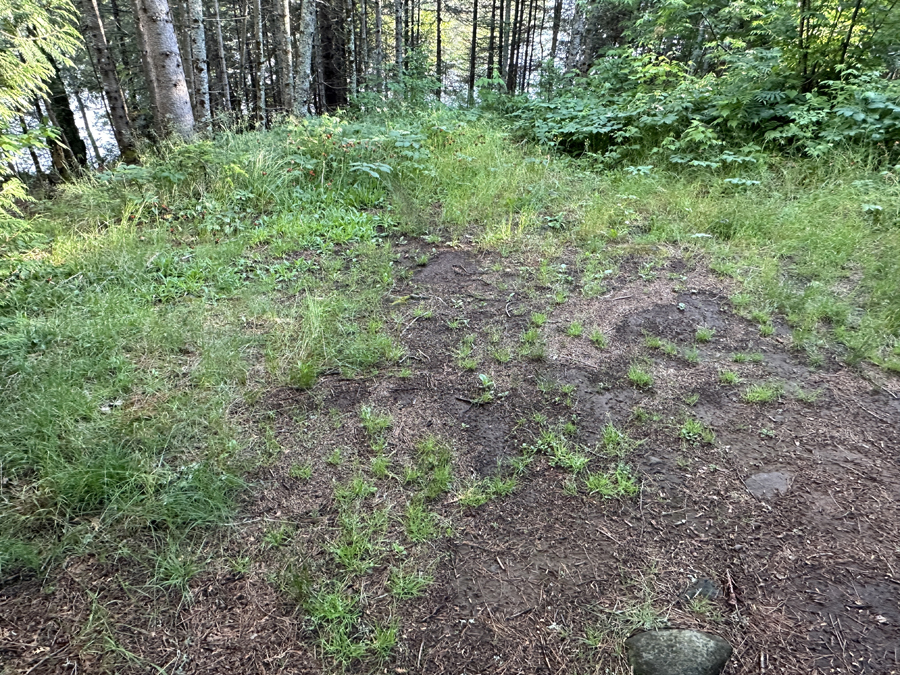 Horseshoe Lake Campsite 6