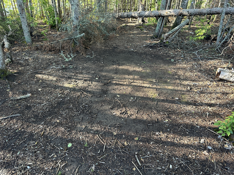 Horseshoe Lake Campsite 5