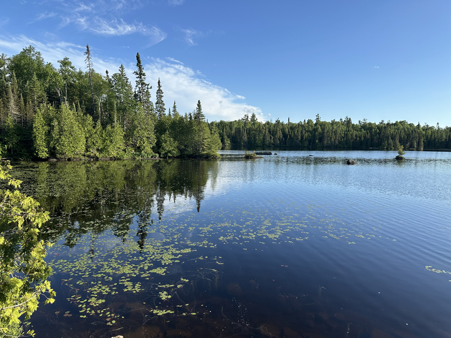 Horseshoe Lake Campsite 9
