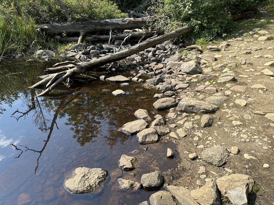 Larch Lake to Clove Lake Portage 3