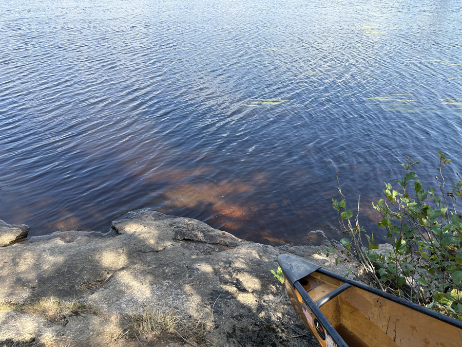 Larch Lake Campsite 1