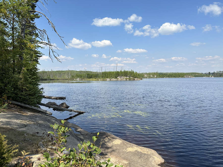 Larch Lake Campsite 9