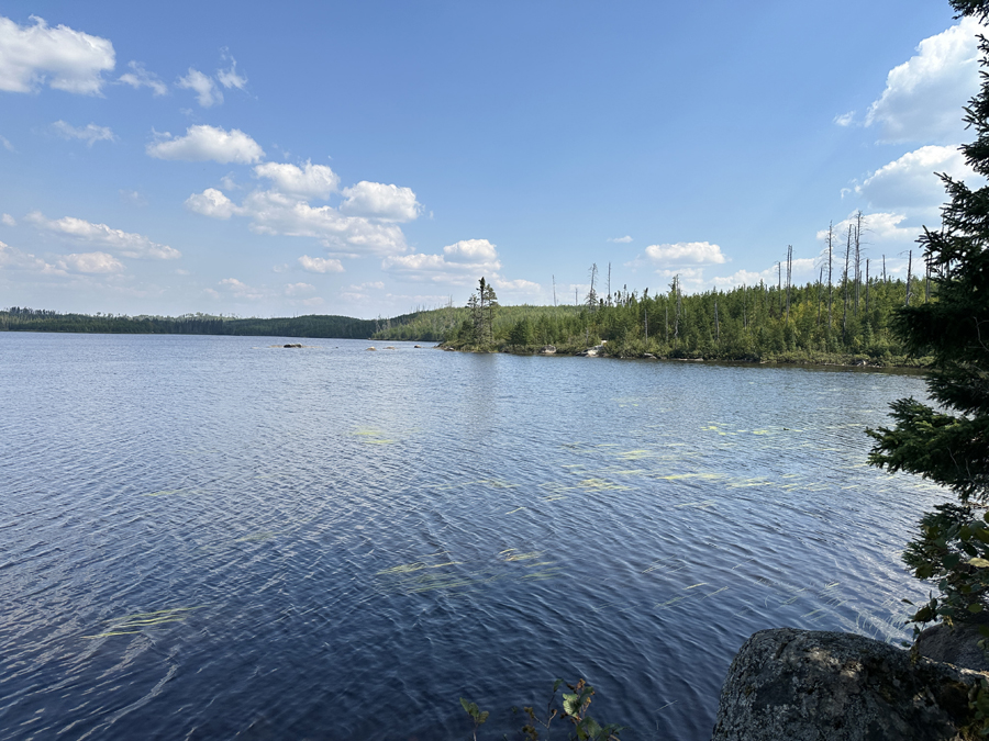 Larch Lake Campsite 10