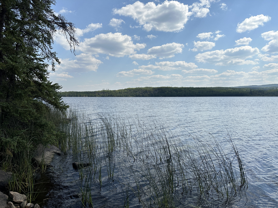 Larch Lake Campsite 15