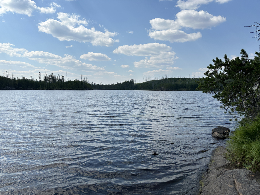 Larch Lake Campsite 16