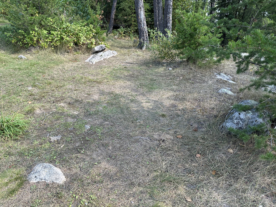 Larch Lake Campsite 6