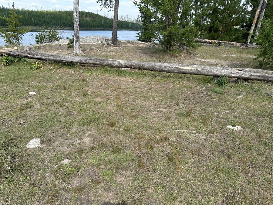 Larch Lake Campsite 7