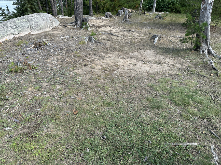 Larch Lake Campsite 8