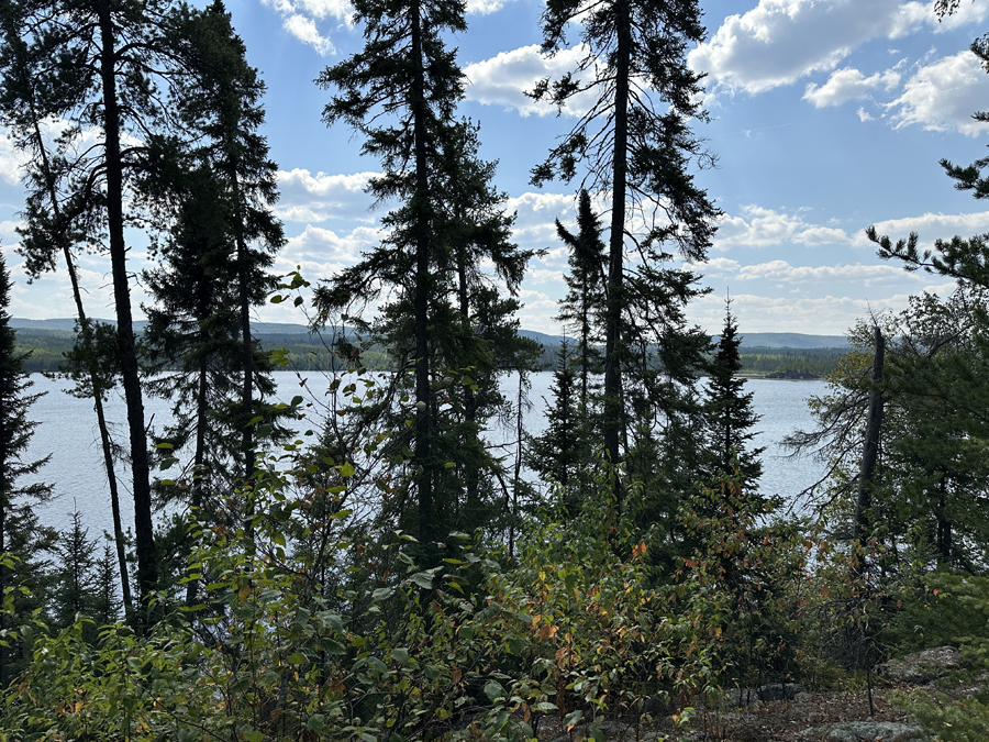 Larch Lake Campsite 12