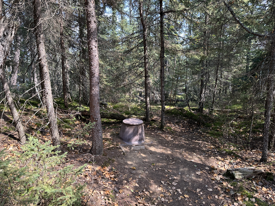 Larch Lake Campsite 13