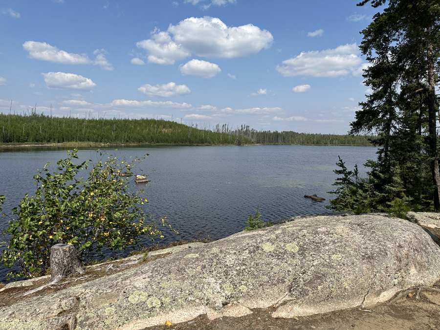 Larch Lake Campsite 17