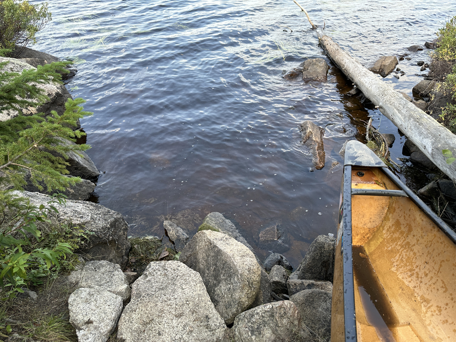 Larch Lake Campsite 1