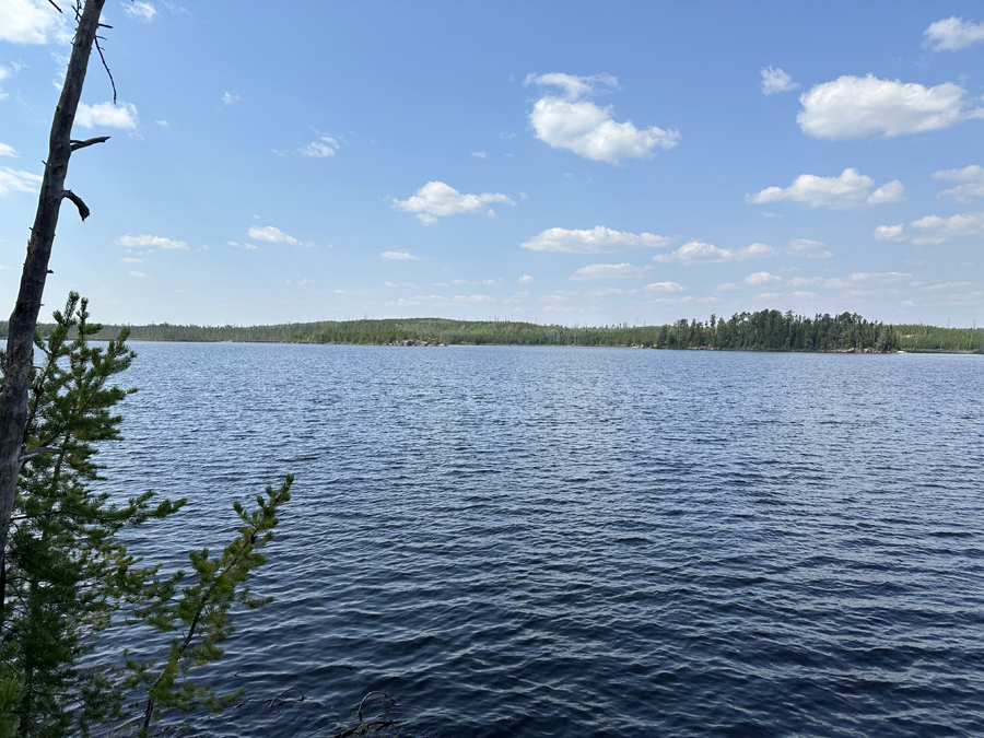 Larch Lake Campsite 10