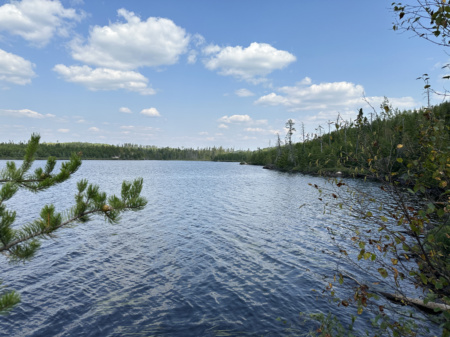 Larch Lake Campsite 11