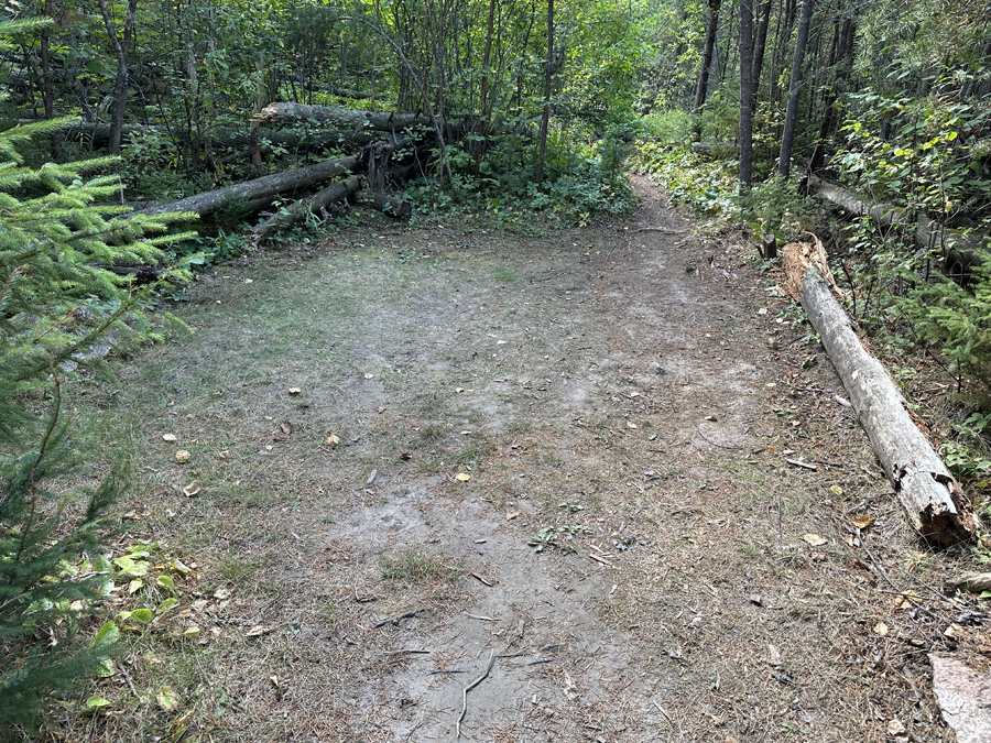 Larch Lake Campsite 7