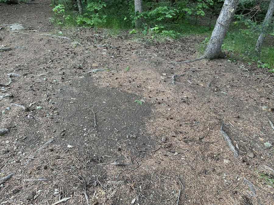 Little Caribou Lake Campsite 7