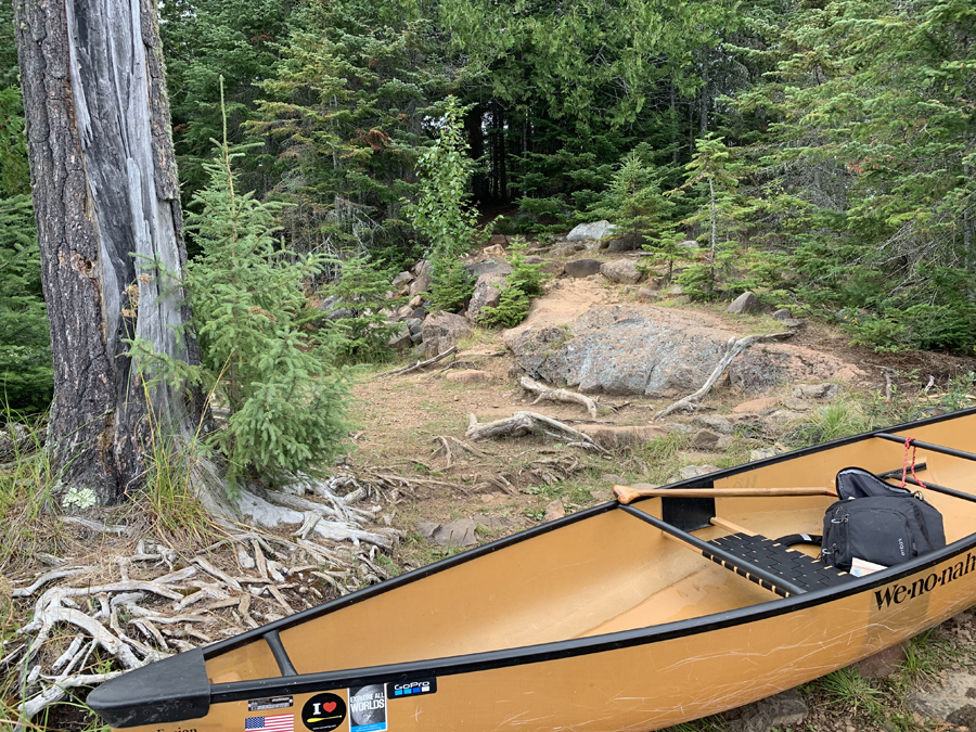 Landing Lake Trout at Camp Quetico