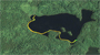 Little Trout Lake map5
