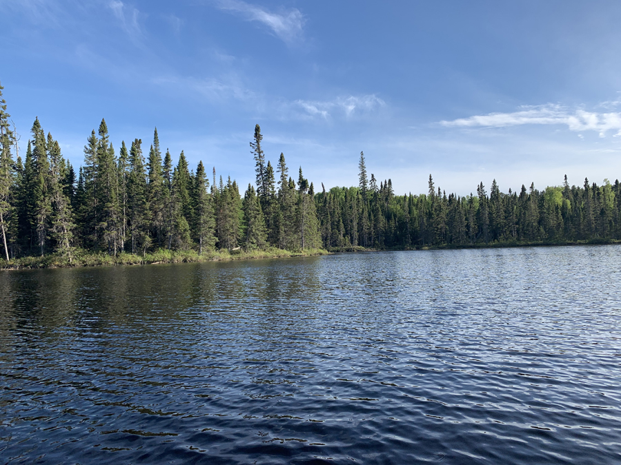Lower George Lake 3