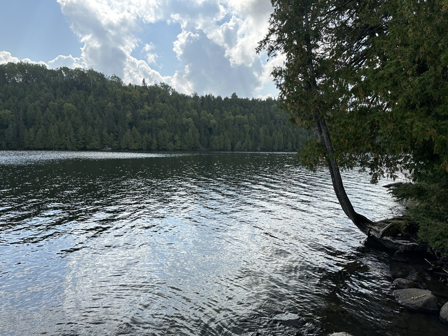 Moon Lake Campsite 10