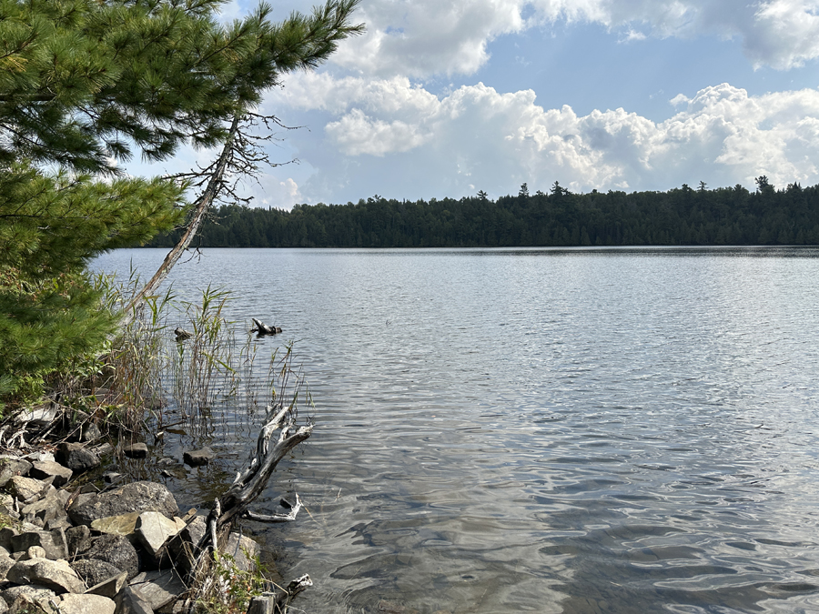 Moon Lake Campsite 8