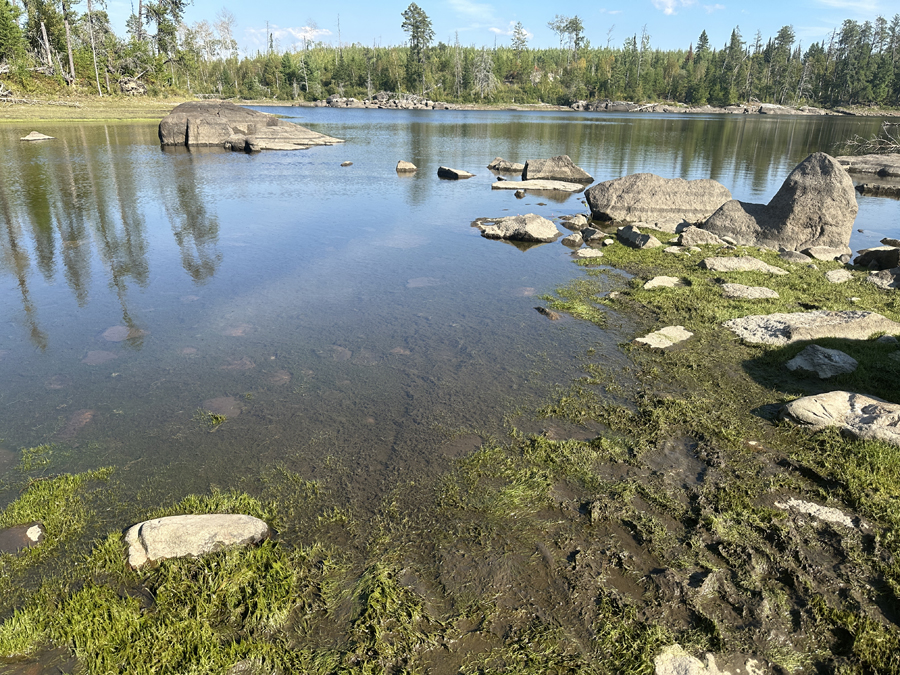 Clove Lake to the Pine River Portage 2