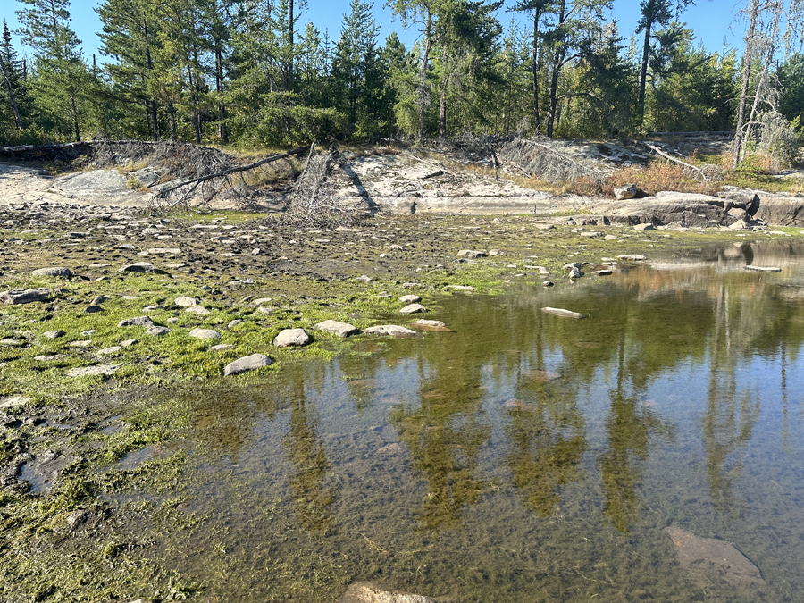 Clove Lake to the Pine River Portage 3