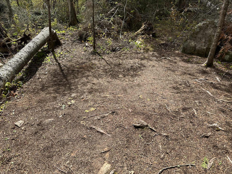 Rose Lake Campsite 5