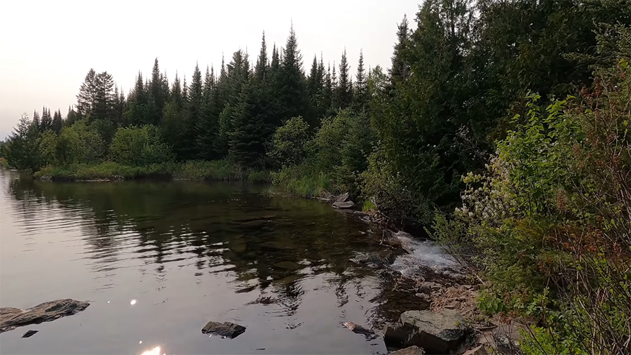 Rose Lake Campsite 9