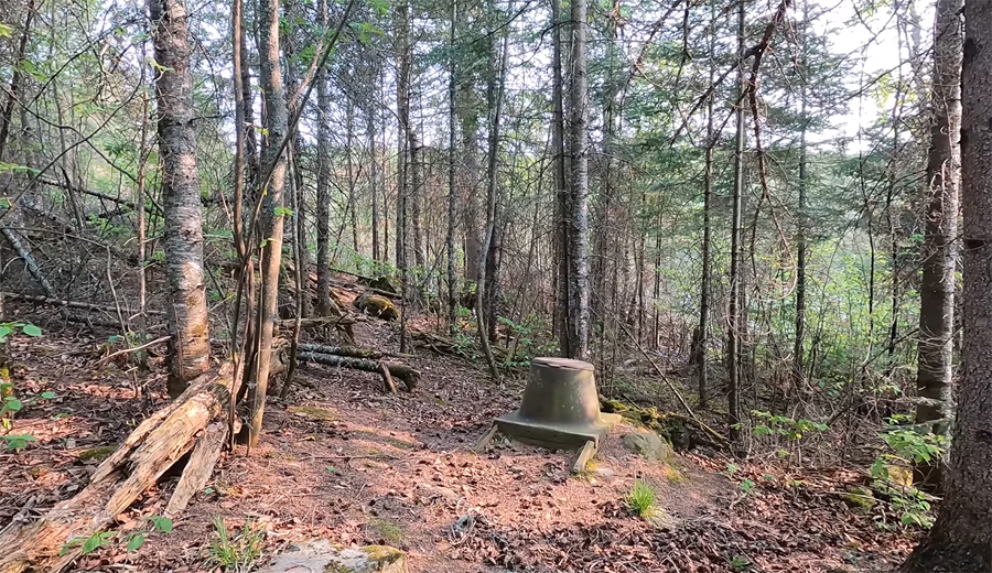 Rose Lake Campsite 7