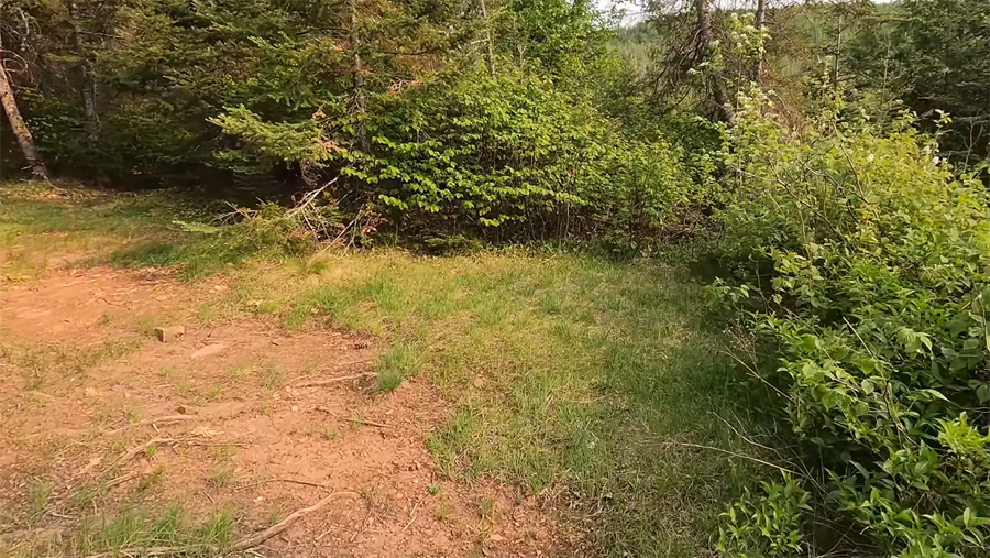 Rose Lake Campsite 6